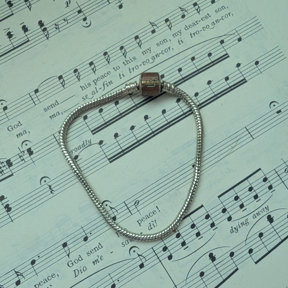 Silvertone Charm Bracelet -no Charms